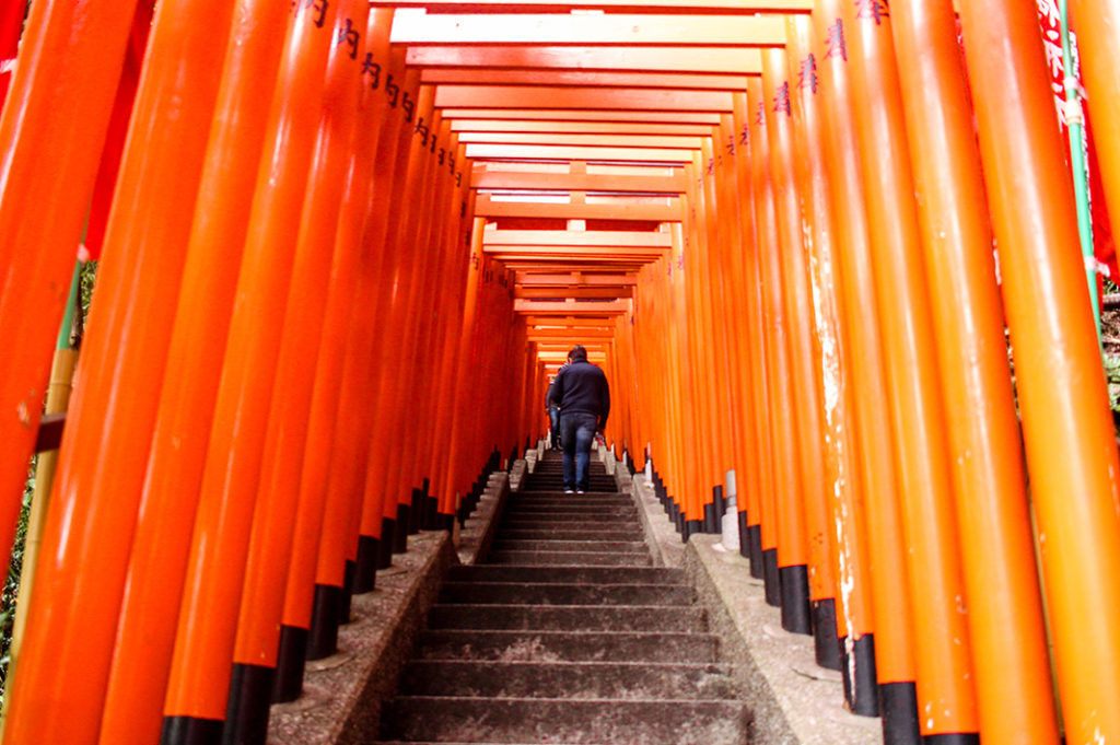 torii gate tunnel tokyo: hie shrine