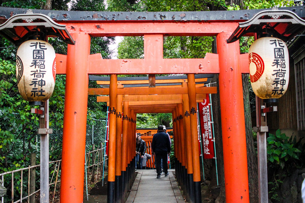 torii gate tunnel tokyo: hanazono inari shrine, ueno park