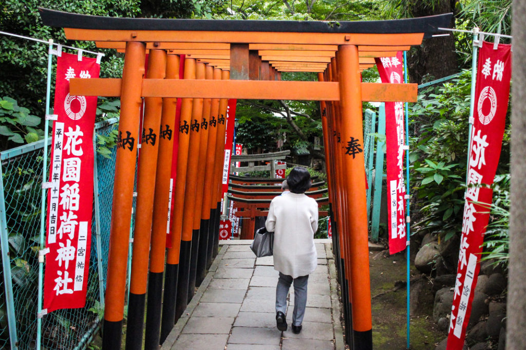 torii gate tunnel tokyo: photo of hanazono inari shrine, ueno park