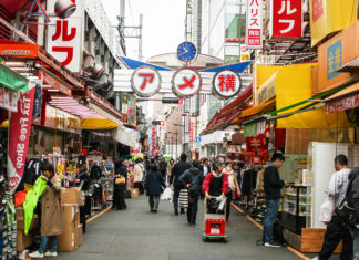 Akihabara to Ueno Part 2: An Ueno Tour