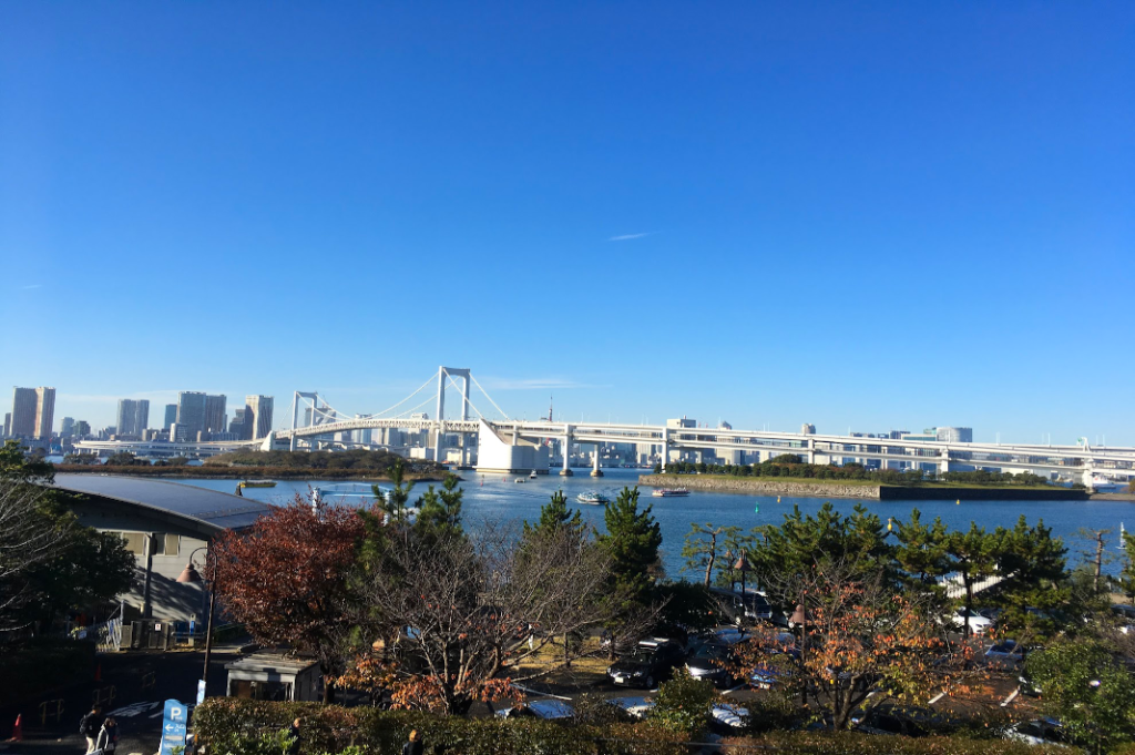 Many of Tokyo's water buses traverse Tokyo Bay as they move through the city.