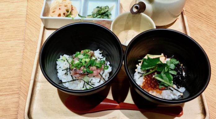 Dashi Chazuke En: Comfort Food Before A Flight at Narita Half and half ochazuke