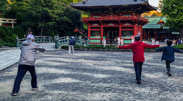 Radio Taiso At Nezu Shrine And An Early Morning Walk