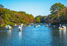 Kichijoji Tour: Hammocks, Shopping and Parks Inokashira Park in Kichijoji