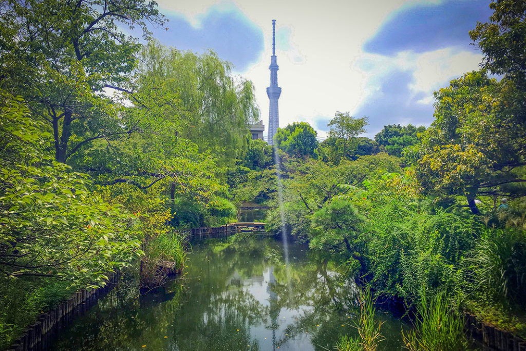 A stellar Tokyo Instagram spot,  Mukojima-Hyakkaen Garden is the perfect balm to Tokyo's bustle