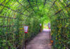 Top Tokyo Instagram Spots: Mukojima-Hyakkaen Garden’s Japanese Clover Tunnel
