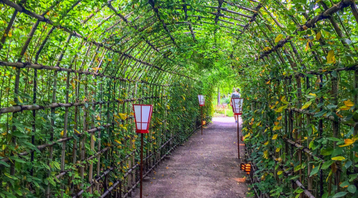 Top Tokyo Instagram Spots: Mukojima-Hyakkaen Garden’s Japanese Clover Tunnel