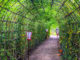 Top Tokyo Instagram Spots: Mukojima-Hyakkaen Garden’s Japanese Clover Tunnel