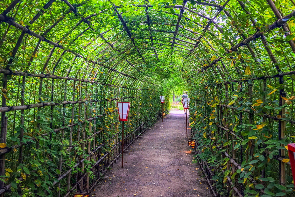 The Japanese clover tunnel feels like stepping into a fairy tale