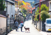 The Top Things To Do On Miyajima Island