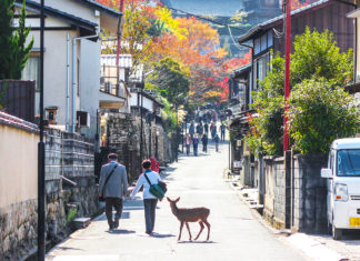 The Top Things To Do On Miyajima Island