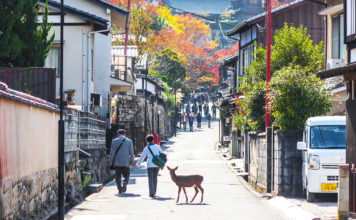 The Top Things To Do On Miyajima Island