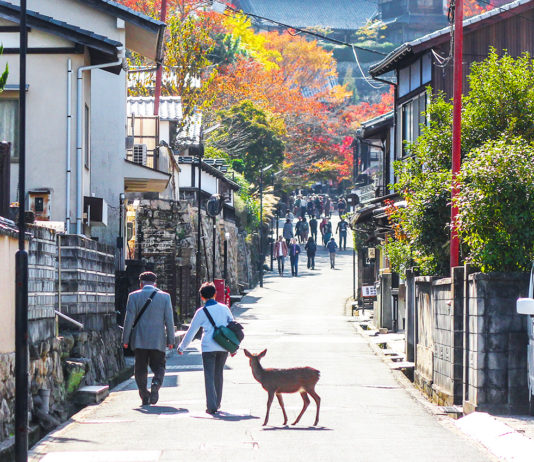 The Top Things To Do On Miyajima Island