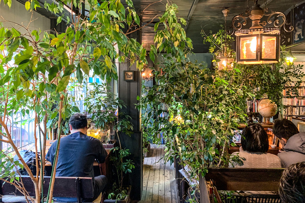 Inside R-Za Dokushokan, one of Tokyo's nicest green study spaces