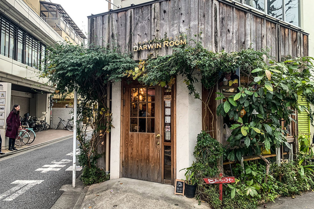 Darwin Room Shimokitazawa, one of Tokyo's nicest green study spaces