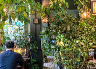 Tokyo, Books, and You: Curl up in these Three Green Study Spaces