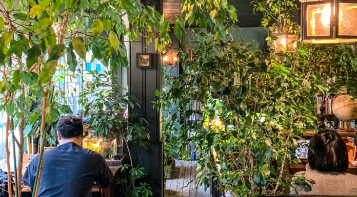 Tokyo, Books, and You: Curl up in these Three Green Study Spaces