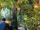 Tokyo, Books, and You: Curl up in these Three Green Study Spaces