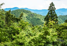 A Great Half-Day Hike Near Kyoto: the Kibune – Kurama Hike