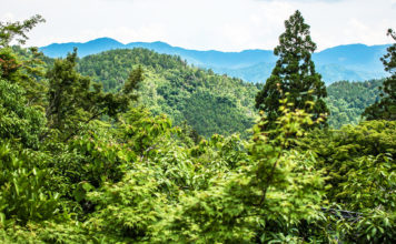 A Great Half-Day Hike Near Kyoto: the Kibune – Kurama Hike