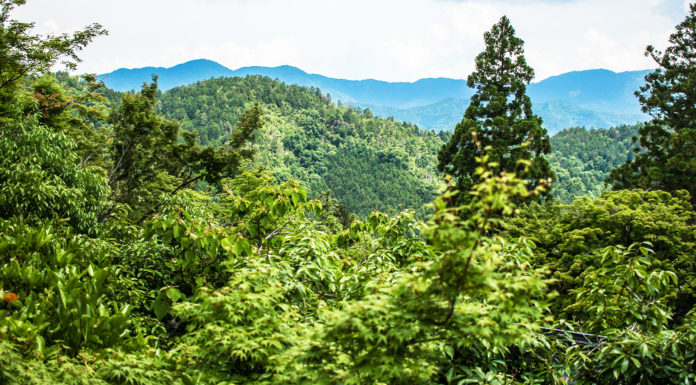 A Great Half-Day Hike Near Kyoto: the Kibune – Kurama Hike