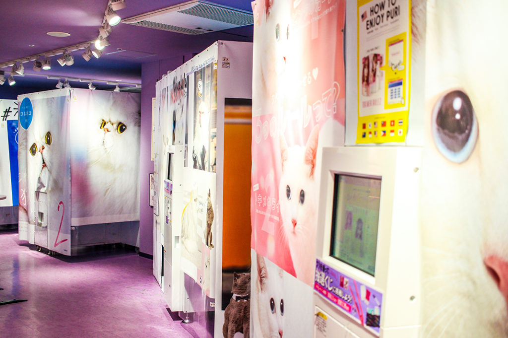 Let your inner teen enjoy these kawaii places in Tokyo