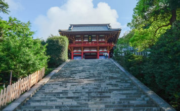 Taking in the Sights on a Kamakura Tour Tsuruoka Hachimangu Shrine