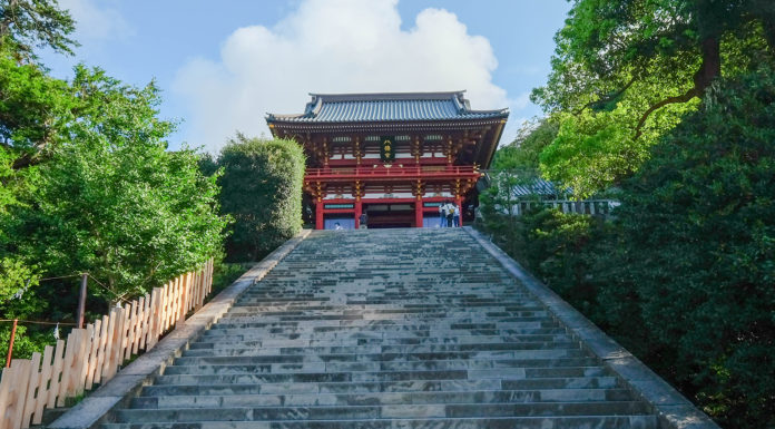 Taking in the Sights on a Kamakura Tour Tsuruoka Hachimangu Shrine