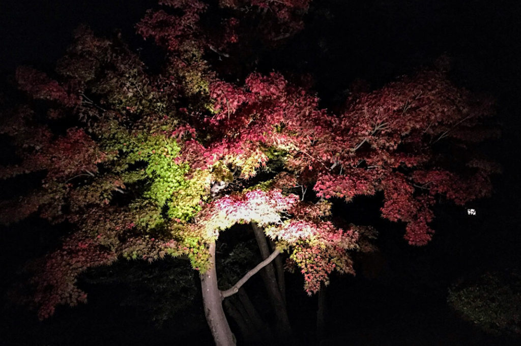 Kenrokuen Garden is one of the best things to do in Kanazawa and one of the best Japanese gardens in Japan