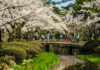 Kenrokuen Garden: A Stroll for All Seasons