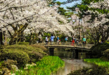 Kenrokuen Garden: A Stroll for All Seasons