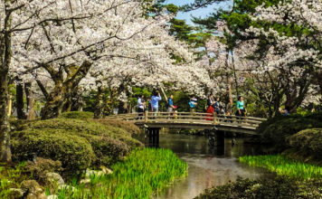 Kenrokuen Garden: A Stroll for All Seasons