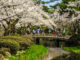 Kenrokuen Garden: A Stroll for All Seasons