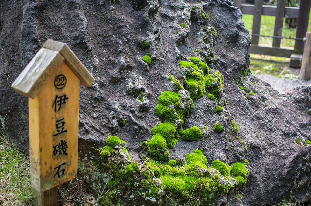 Kiyosumi Gardens, Tokyo