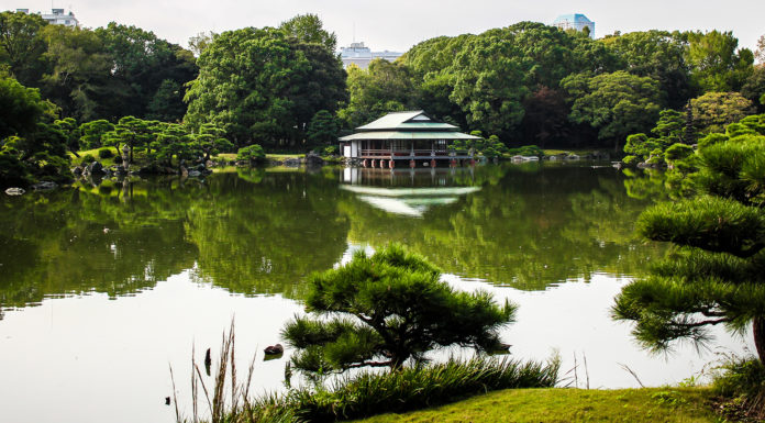 Serenity A Stone’s Throw Away At Tokyo’s Kiyosumi Gardens