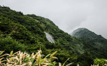 Road Trippin’ through Kumamoto Prefecture