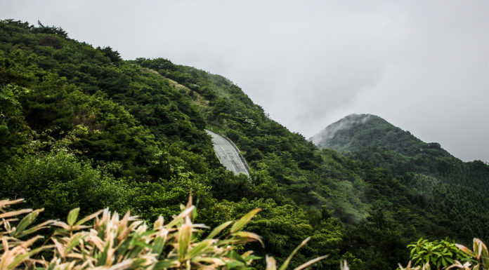 Road Trippin’ through Kumamoto Prefecture