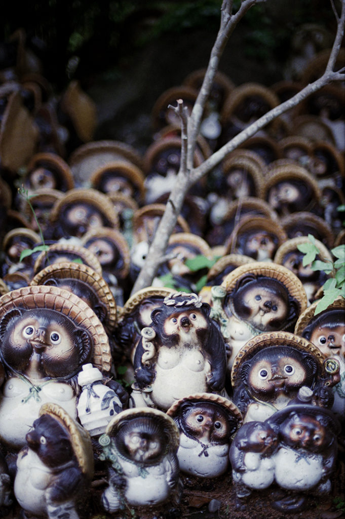 Hundreds of Tanuki statues, which are immensely popular in Japan, have been donated to the shrine.