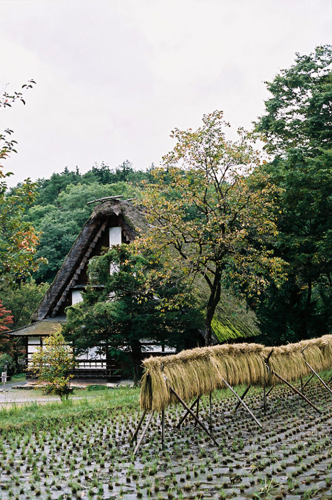 A smaller version of Shirakawa-go, Hida Folk Village is a perfectly preserved slice of rural history in Takayama.