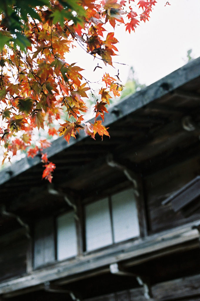 Traditional dark wood frames the changing leaves of Autumn. Hida Folk Village, Takayama.
