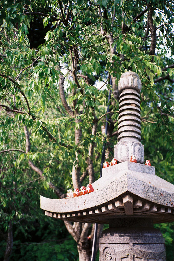 Tiny red Daruma are scattered across a stone stupa, surrounded by the green leaves of a tall cherry tree.