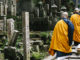 Okuno-in: Kōyasan’s Pathway Through Time A banner image of Buddhist monks climbing steps.