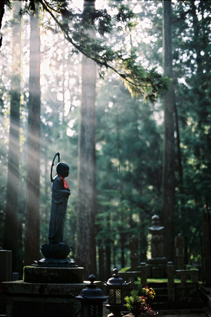 Jizo looks out at the morning light in Okuno-in.