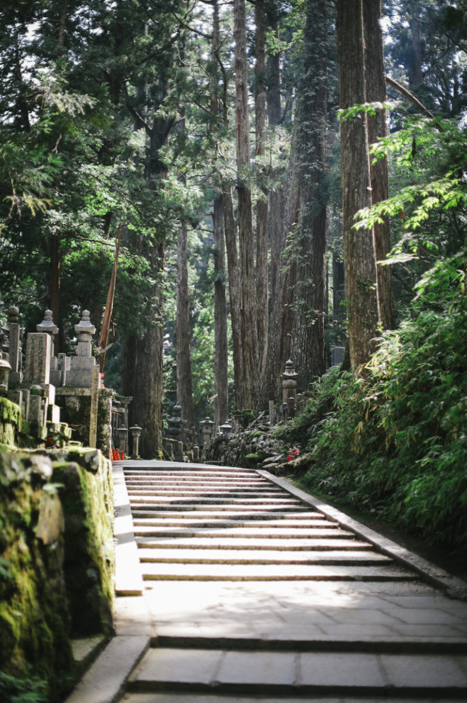 A stone pathway bathed in sunlight ascends through hallways of tall cedar trees in the Okuno-in cemetary in Kōya-san.