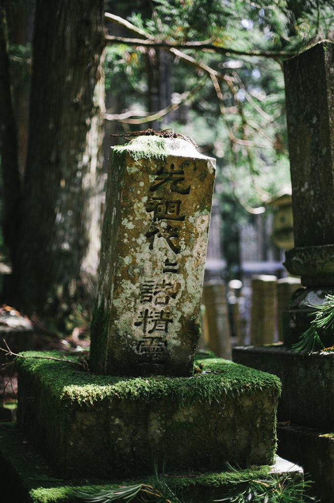 Moss coats a gently leaning stone pillar inscribed with flowing Japanese characters in Okuno-in's forest at Kōya-san.