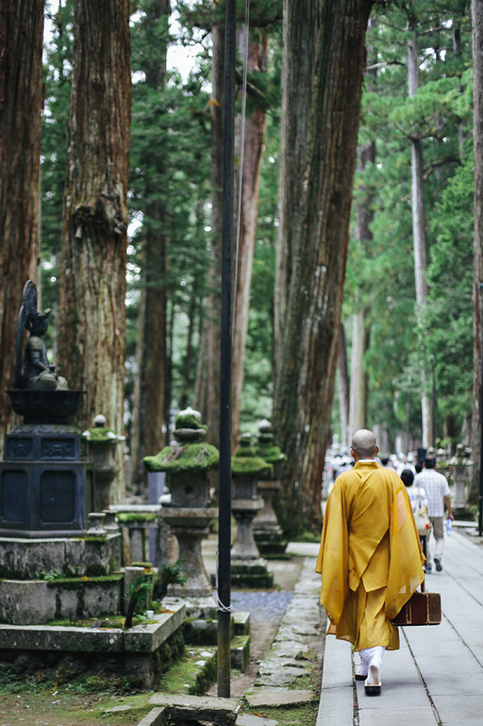 A senior monk in ochre yellow robes walks away from the camera and into a forest of towering cedar trees of Kōya-san.