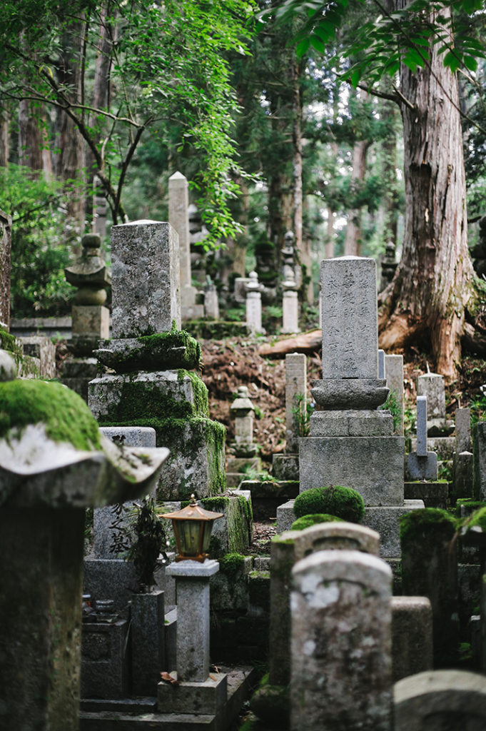 Moss-covered stone monuments fade into a deep green forest in Okuno-in on the mountain of Kōya-san.