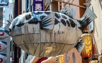 Dining in Dotonbori: Osaka’s Lively Entertainment District