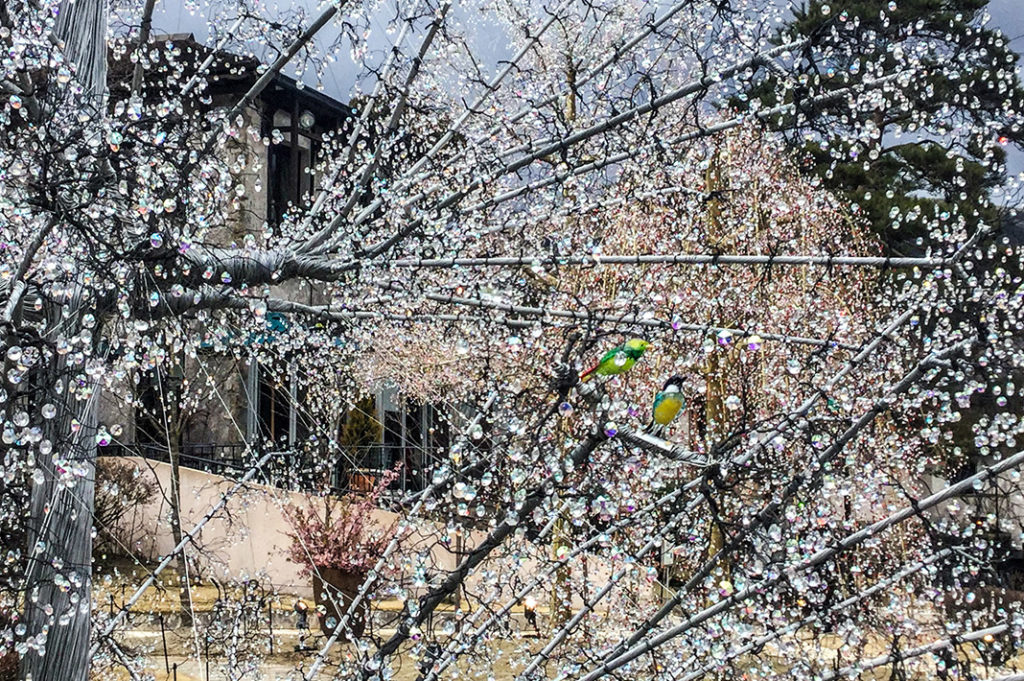 Glass trees with glass birds at the Hakone Venetian Glass Museum