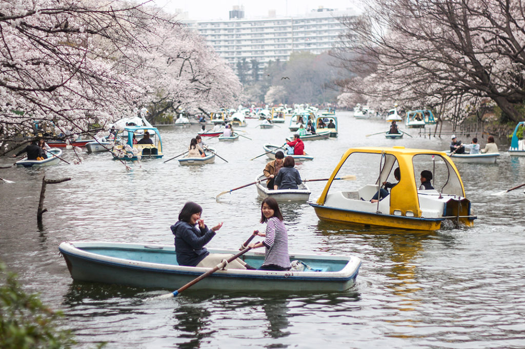 Friends having fun at Inokashira Park